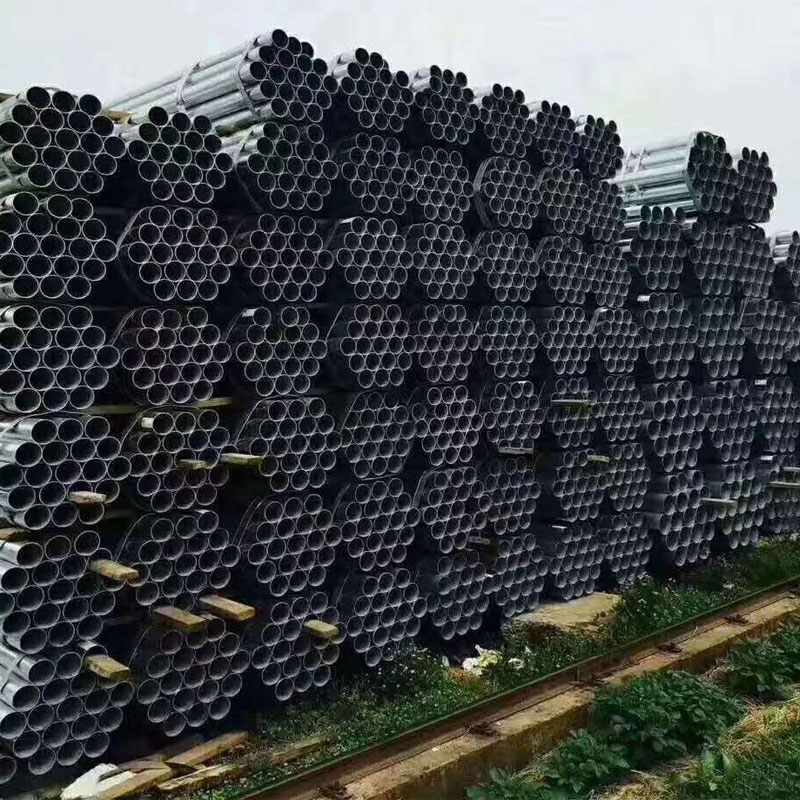 免费看片在线